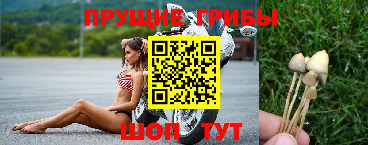 Псилоцибиновые грибы мухоморы  Псилоцибиновые грибы Psilocybine cubensis  Тверь  Вход с VPN 