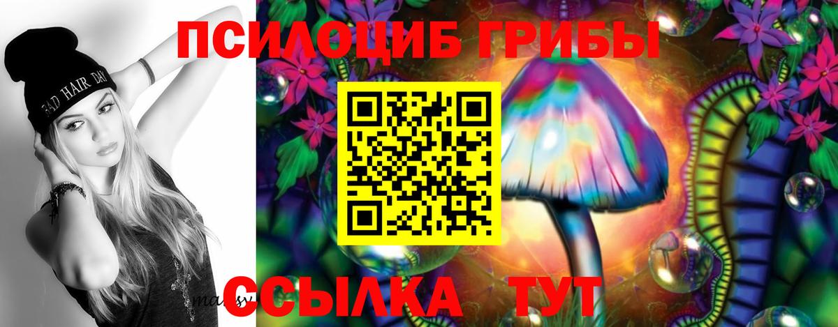 Галлюциногенные грибы MAGIC MUSHROOMS Тверь